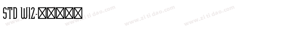 STD W12字体转换